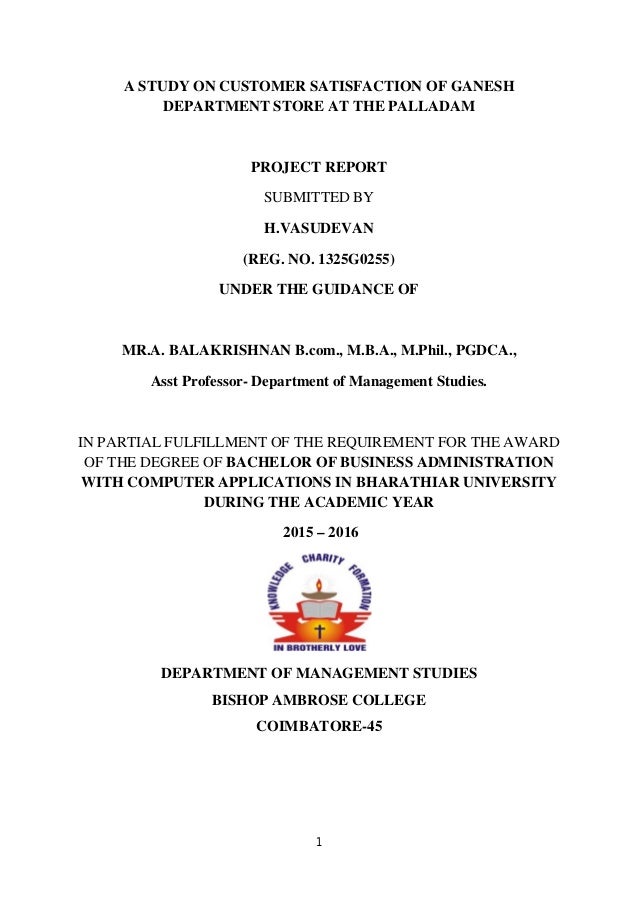 Customer Satisfaction Project Report Pdf